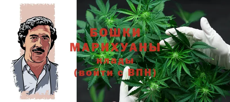 Конопля Ganja  Нижние Серги 